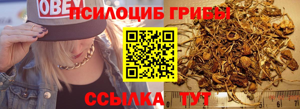 Галлюциногенные грибы Magic Shrooms  Галлюциногенные грибы MAGIC MUSHROOMS  Орск  Вход с VPN 